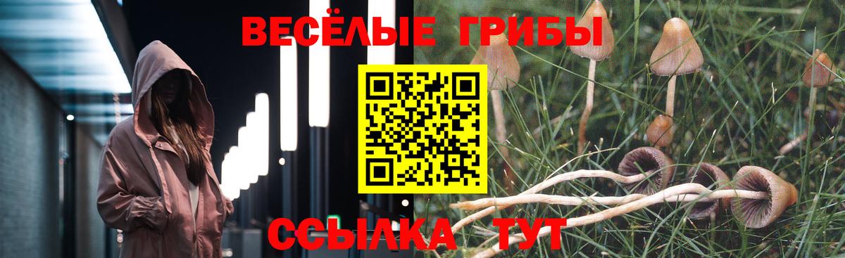 Усинск  Псилоцибиновые грибы Psilocybine cubensis  Вход с VPN 